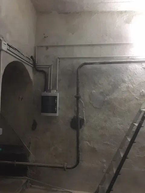 chantier champignons de lorraine (6)