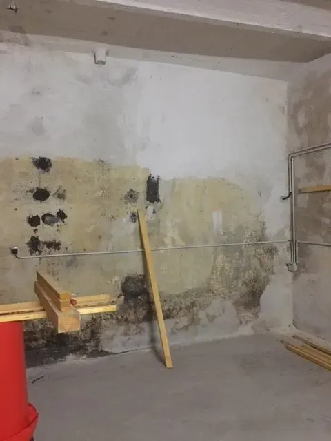 chantier champignons de lorraine (7)