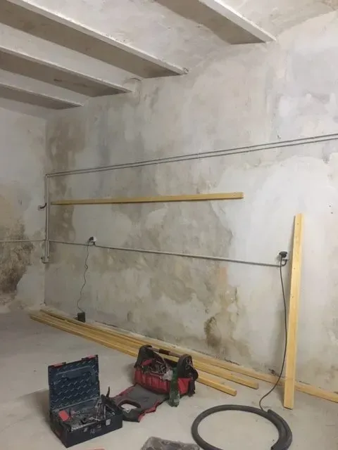 chantier champignons de lorraine (8)