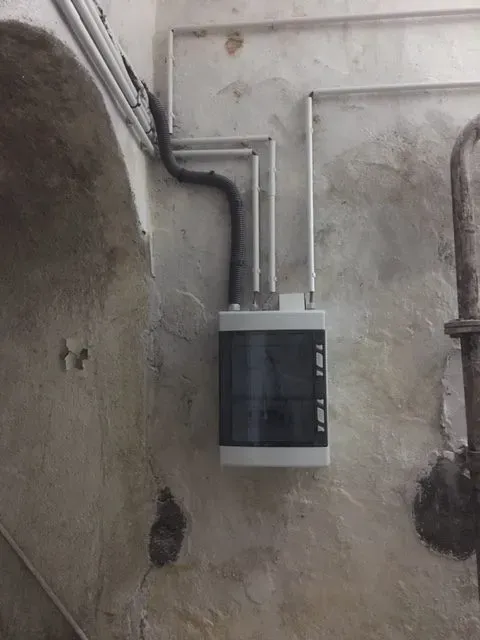 chantier champignons de lorraine (9)